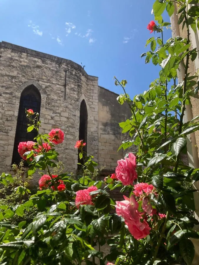 ** Gasthof Hotel Cocooning Avignon Frankreich
